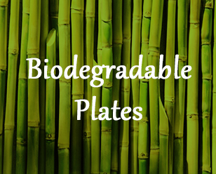 Biodegradable-Plates