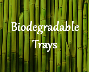 Biodegradable-Trays